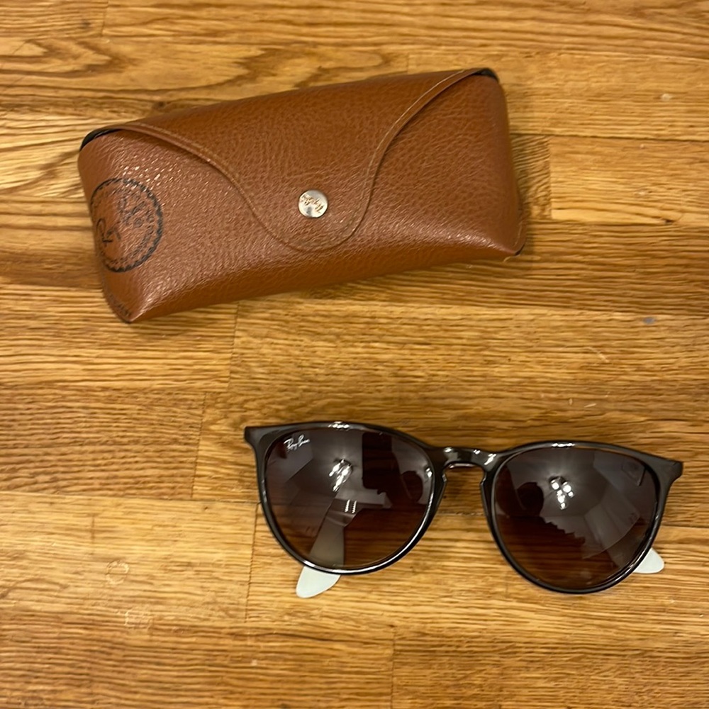 Ray Ban Erika Sunglasses